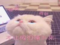 濮阳市鑫众博电子科技有限公司