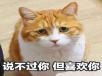 濮阳市鑫众博电子科技有限公司