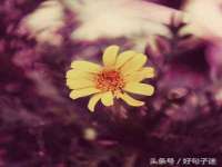 濮阳市鑫众博电子科技有限公司