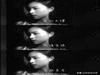 濮阳市鑫众博电子科技有限公司