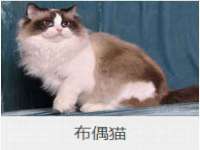 濮阳市鑫众博电子科技有限公司