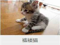 濮阳市鑫众博电子科技有限公司