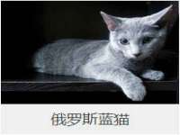 濮阳市鑫众博电子科技有限公司