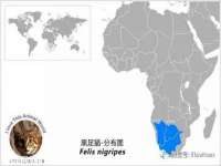 濮阳市鑫众博电子科技有限公司