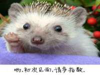 濮阳市鑫众博电子科技有限公司