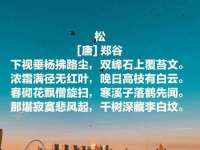 濮阳市鑫众博电子科技有限公司