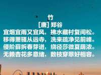 濮阳市鑫众博电子科技有限公司