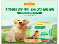 濮阳市鑫众博电子科技有限公司