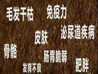 濮阳市鑫众博电子科技有限公司