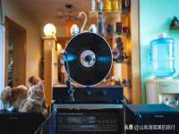 濮阳市鑫众博电子科技有限公司