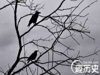 濮阳市鑫众博电子科技有限公司