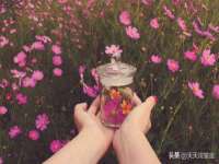 濮阳市鑫众博电子科技有限公司